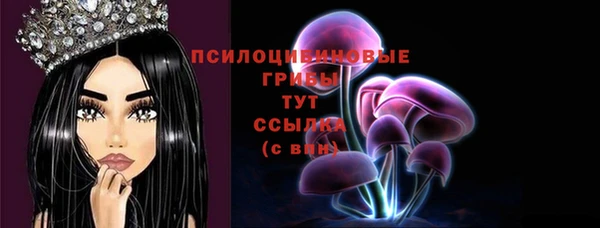 бошки Белокуриха