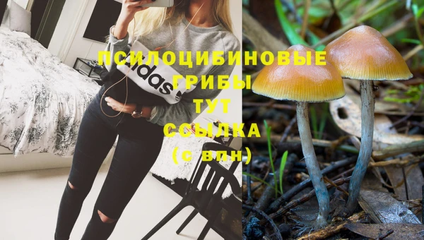 Альфа ПВП Белоозёрский