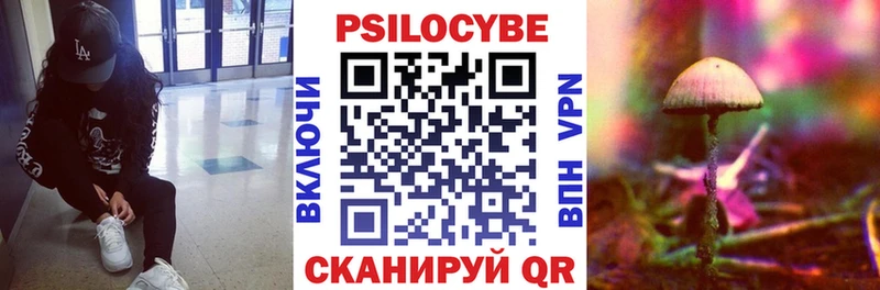 Галлюциногенные грибы Cubensis  даркнет телеграм  Вытегра 